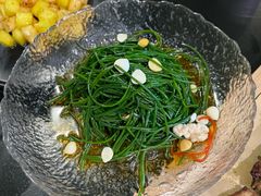 凉拌鲜沙葱-蒙料·手把肉(望京店)