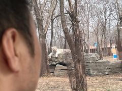-秦皇岛野生动物园