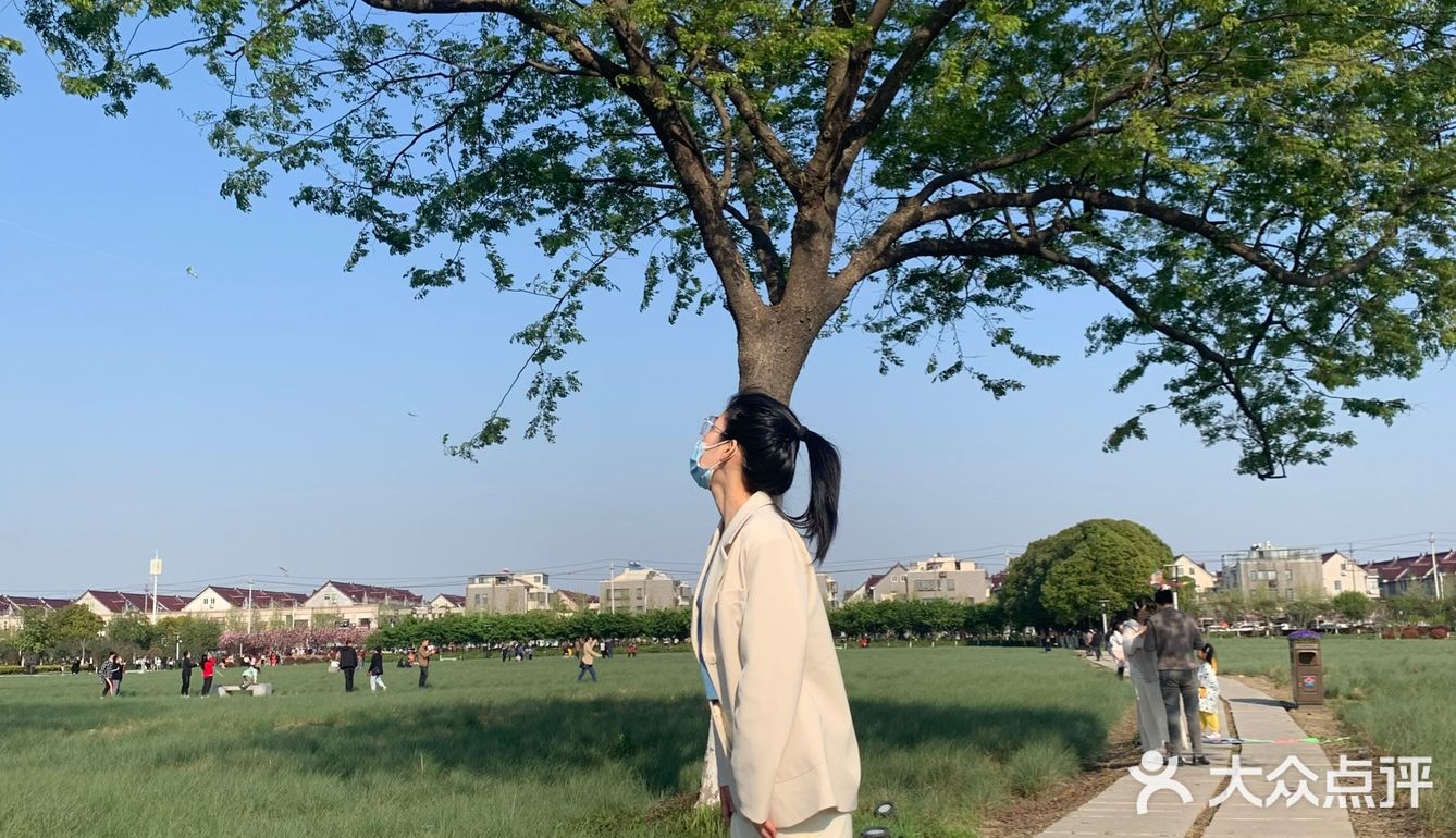 平湖探店｜我在中埭等你，樱花里等你