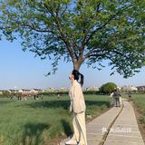 平湖探店｜我在中埭等你，樱花里等你