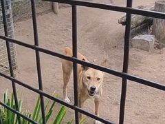 -费瑟代尔野生动物园