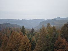-山王坪喀斯特国家生态公园