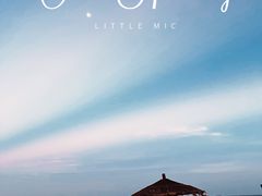 -西涌国际滨海旅游区