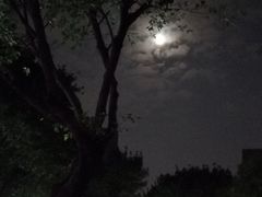 中秋节的月亮-友德福.老字号粤菜.广州地标融合美食(荔湾路店)
