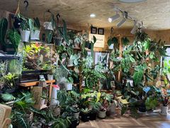 -Rabbit Cafe私房西餐甜点咖啡(栖霞路店)