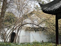 -兴福禅寺