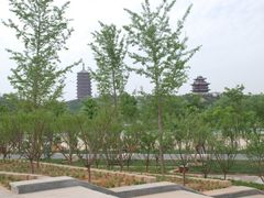 -永定河休闲森林公园