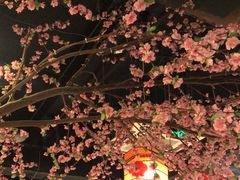-卢大鲜鱼头捞饭(美利广场店)