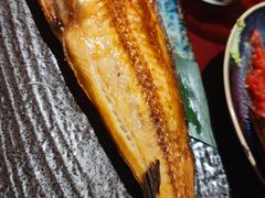 六线鱼-九州酒场ひこぞう(1号店)