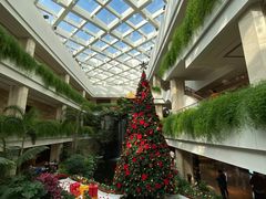 -白天鹅宾馆-宏图府餐厅