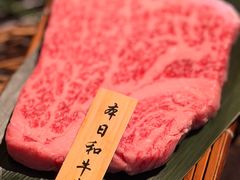 -老乾杯(深圳湾万象城店)