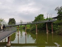 -白鹭湾湿地公园