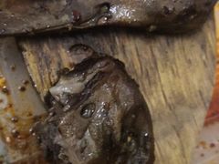 -天河沃尔玛