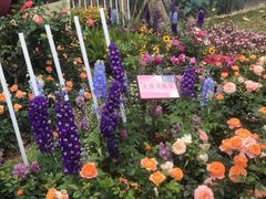 -人民公园(罗湖区)