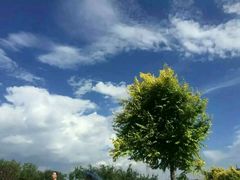 -永定河休闲森林公园