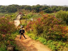 -鹤之洲湿地公园
