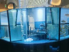 -王家渡火锅店(棕榈泉店)