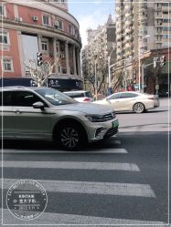 -金太子形象设计