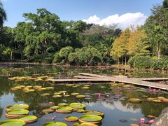 -中国科学院西双版纳热带植物园