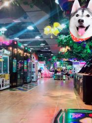 -菲菲羊乐园(临平银泰城店)
