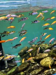 -Zoolung Zoolung动物主题公园(海信广场店)