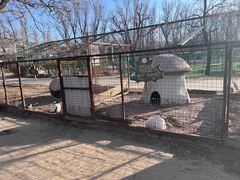 -意大利农场度假村