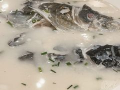 野生胖头鱼鱼汤-洪福饭店·十八年老店
