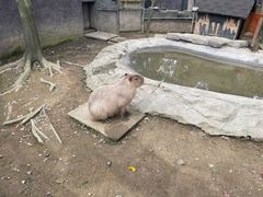 -宁波野生动物园