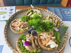 -菌彩云南野生菌火锅(呈贡七彩云南第壹城店)