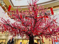 -保利MALL(天鹅湖店)