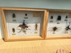 -白鹭湾湿地公园