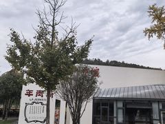 -千年银杏谷文化旅游区