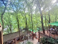 -巴倒烫陆派火锅山庄(南山总店)