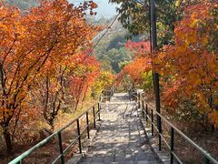 -京东石林峡风景区
