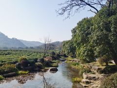 -中国茶叶博物馆(双峰馆区)