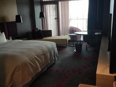 -南京禄口机场雅高铂尔曼大酒店