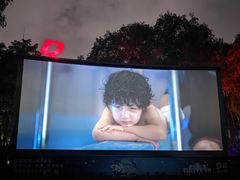 -枫花园汽车电影院(朝阳公园店)