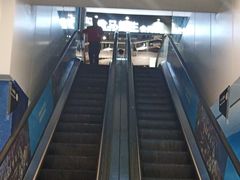 -盒马鲜生(曜一城店)