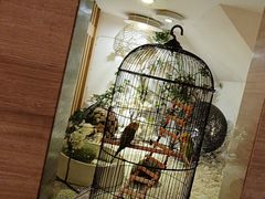 -云中漫步·足疗养生会馆(金开店)