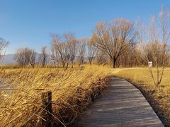 -野鸭湖国家湿地公园