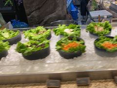 -尚宴牛特鲜自助(太原街万达店)