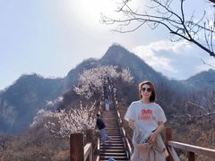 -大岭沟猕猴桃谷风景区