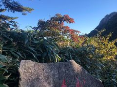 -黄山风景区