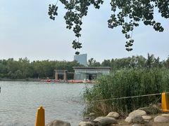 -大兴滨河森林公园