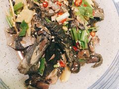 凉拌鬼鸡-紫滇源云南生态菜(丹凤街店)