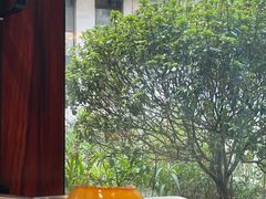 -SAFARI COFFEE