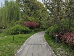-澹台湖公园