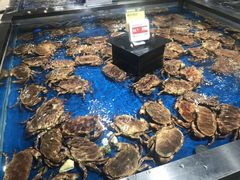 英国面包蟹-盒马鲜生(和谐广场店)