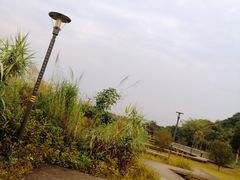 -风云岭森林公园