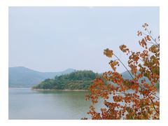 -宁波九龙湖开元度假村